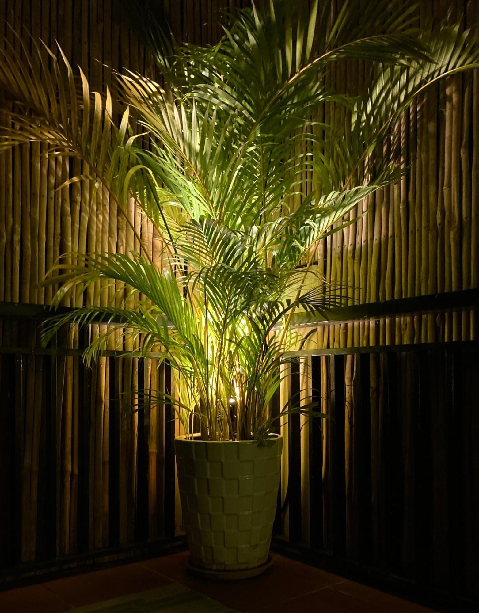 Lotus Haven Villa Siem Reap Exteriér fotografie