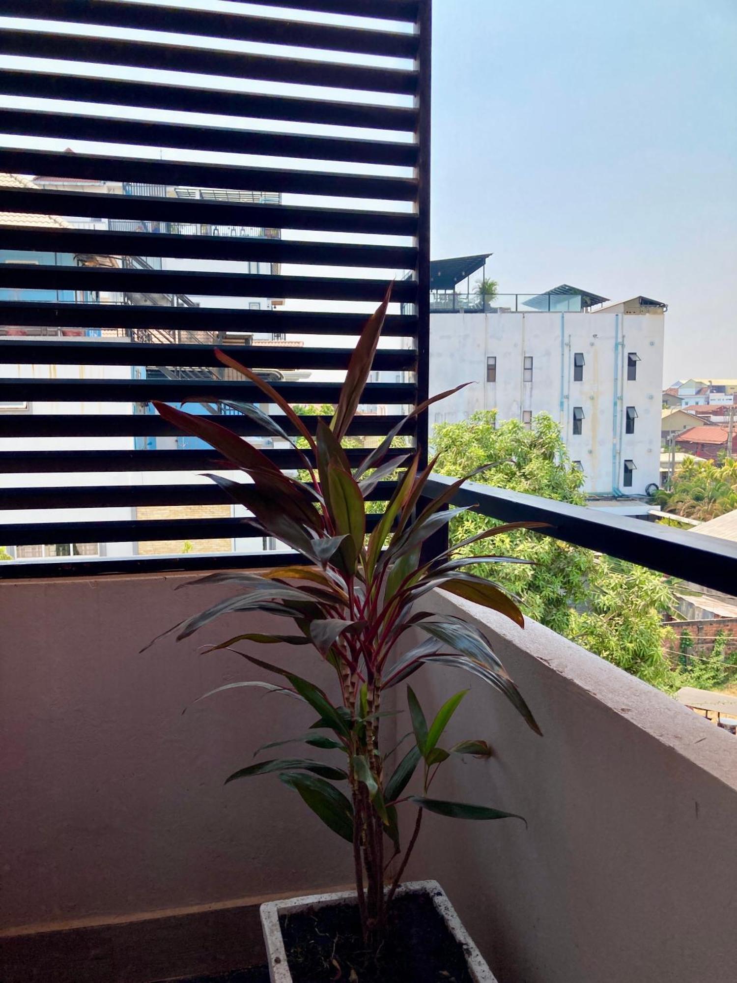 Lotus Haven Villa Siem Reap Exteriér fotografie